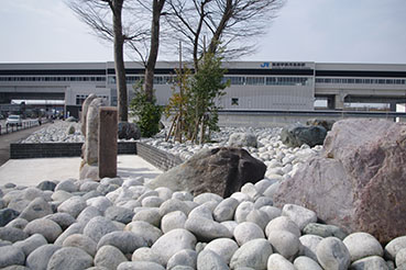 �����F�ތ�����w