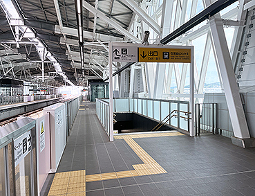 ����B�V���� �V�呺�w