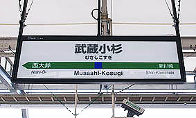 ���������w