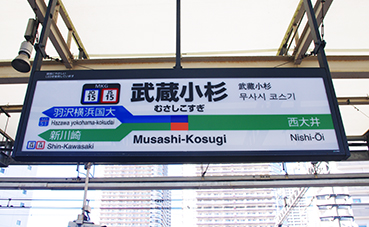 ���������w