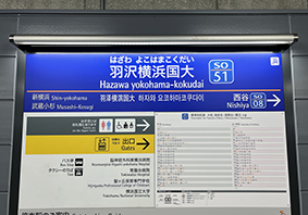 �H�򉡕l����w