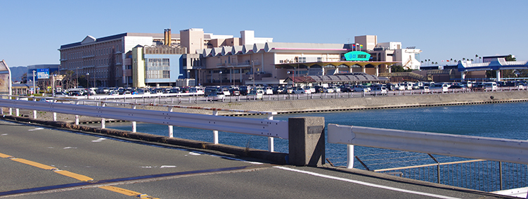 �V�����w