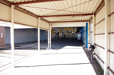 �V�����w