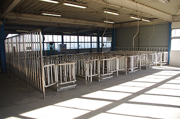 �V�����w