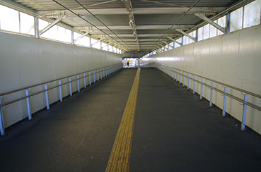 �V�����w