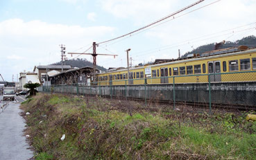 ���ߍ]�S���Č��w