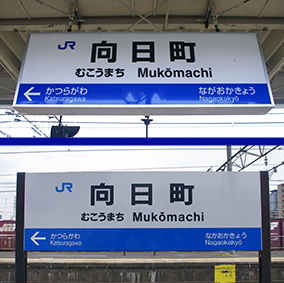 �������w