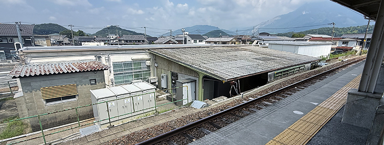 ���C���� �ߍ]�����w