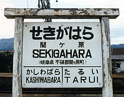 ���S�փP���w