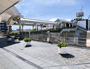 ���C���� �痢�u�w