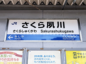 ���C���� ������g��w