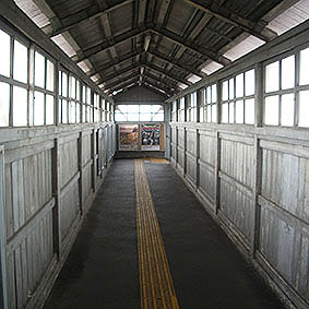 ���w���w��