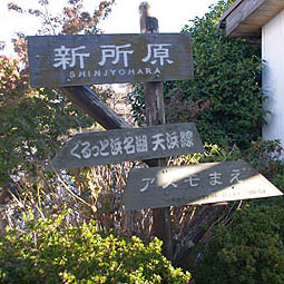 �V���l���ΓS���V�����w