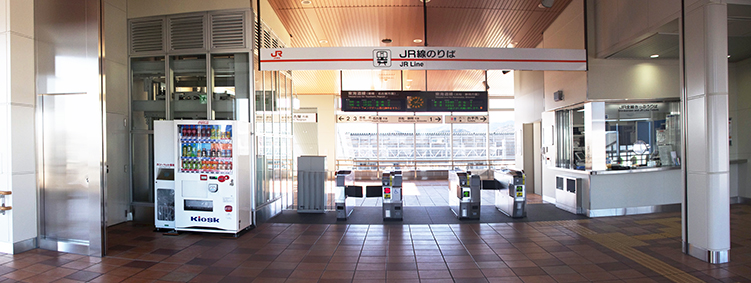 �V�����w