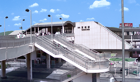 ���S���Ήw