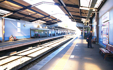 �������{�͌��w