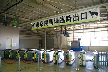 �{���{���w