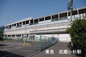 ���������w