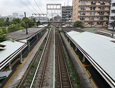 �앐�� ���͌��w