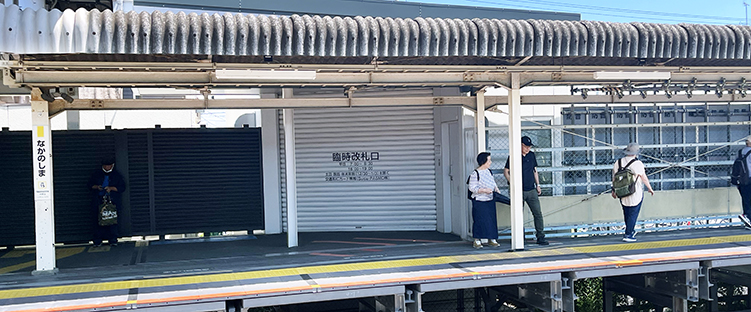 �앐�� ���쓇�w