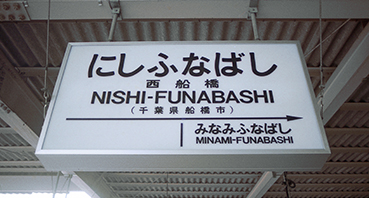 ���D���w