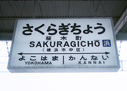 ���ؒ��w�@���w��