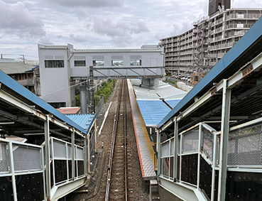 ���͐� �ЉƉw