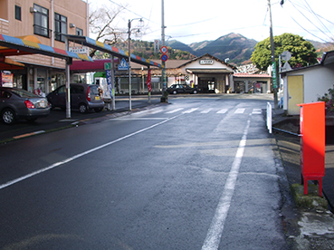 �F�����w