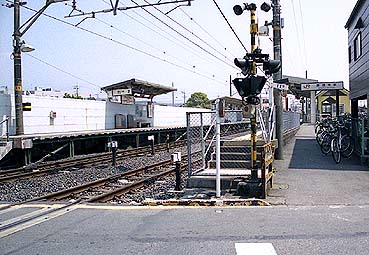 �������w