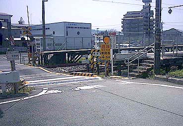 �������w