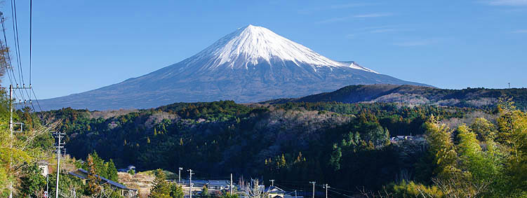 ���v�ۉw�x�m�R