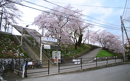 �P�����w