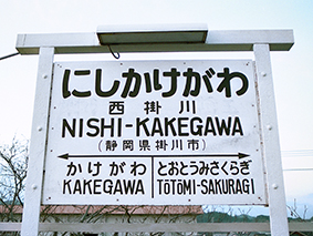 �񖓐��@���|��w