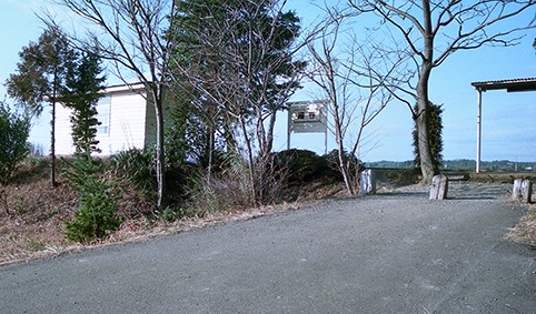 �񖓐��@�גJ�w