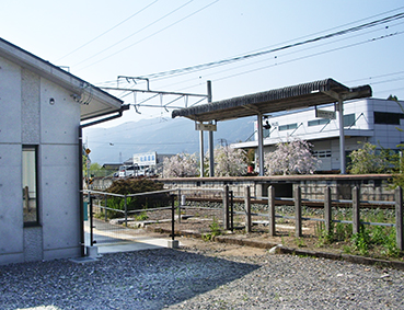 �ѓc�� �O�͓����w