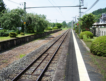 �ѓc�� ����w