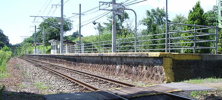 �ѓc�� �������w