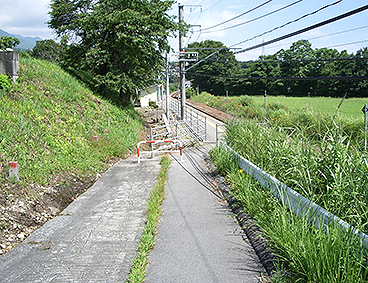 �ѓc�� �������w