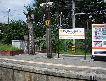 �V�����w