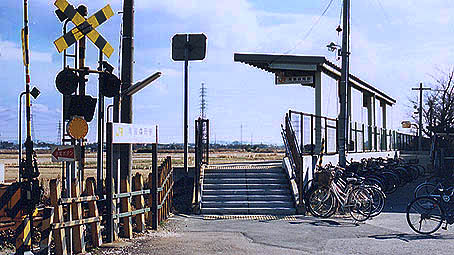 �����X���w