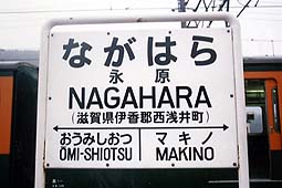 �i���w ���w��