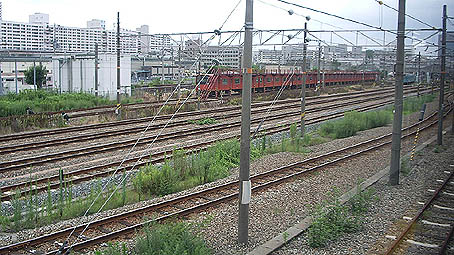 ��������w