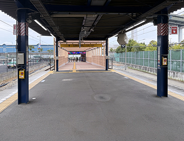 ������ �����w