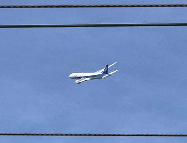 ���m�R�� �k�ɒO�w