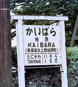 �������w