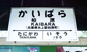 �������w