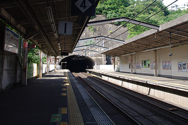 ���{�����w