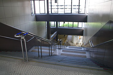 ���{�����w