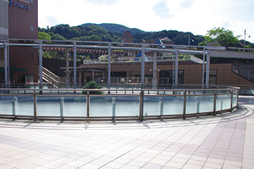 ���{�����w