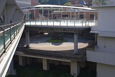 ���{�����w